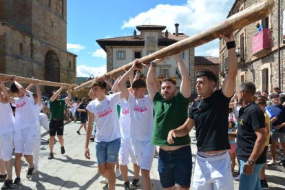 La pingada del mayo de Vinuesa da el pistoletazo de salida a sus fiestas de la Virgen del Pino y San Roque 2024.