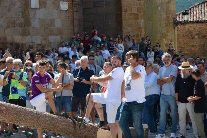 La pingada del mayo de Vinuesa da el pistoletazo de salida a sus fiestas de la Virgen del Pino y San Roque 2024.