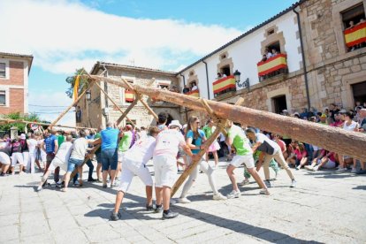 La pingada del mayo de Vinuesa da el pistoletazo de salida a sus fiestas de la Virgen del Pino y San Roque 2024.