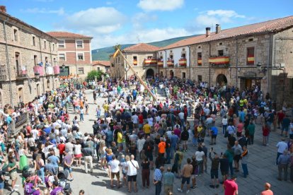 La pingada del mayo de Vinuesa da el pistoletazo de salida a sus fiestas de la Virgen del Pino y San Roque 2024.