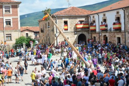 La pingada del mayo de Vinuesa da el pistoletazo de salida a sus fiestas de la Virgen del Pino y San Roque 2024.