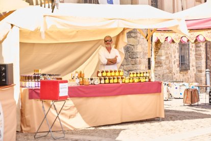 El Mercado Medieval vuelve a llenar la plaza Mayor de Medinaceli de artesanía y animación.