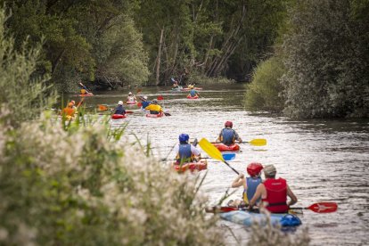 Los piraguistas en el Río Duero