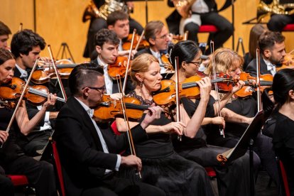 Orquestra de la Comunitat Valenciana-Titular del Palau de les Arts