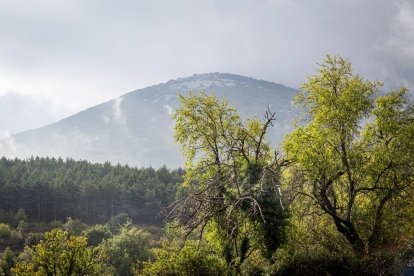 El kilómetro vertical transcurrió entre Aldehuela de Ágreda y Peña Negrilla