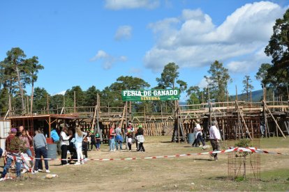 Vinuesa celebra una nueva edición de su Feria Ganadera para mostrar la fuerza del sector en la zona.