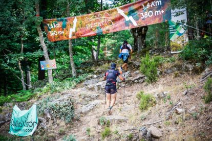 Los atletas cerraron este domingo el Mundial de Skyrunning de Soria con un recorrido de 37 kilómetros por algunos de los bosques más bellos de España.