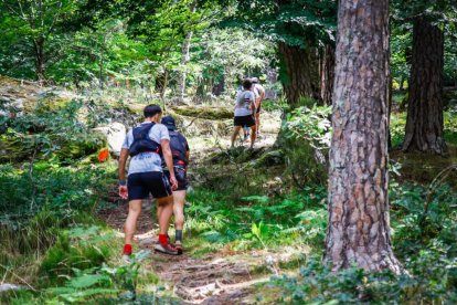 Los atletas cerraron este domingo el Mundial de Skyrunning de Soria con un recorrido de 37 kilómetros por algunos de los bosques más bellos de España.