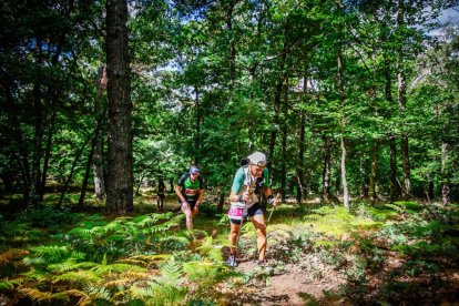 Los atletas cerraron este domingo el Mundial de Skyrunning de Soria con un recorrido de 37 kilómetros por algunos de los bosques más bellos de España.