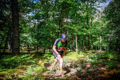 Los atletas cerraron este domingo el Mundial de Skyrunning de Soria con un recorrido de 37 kilómetros por algunos de los bosques más bellos de España.