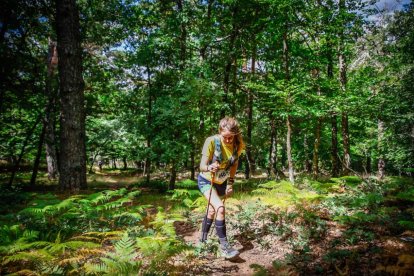 Los atletas cerraron este domingo el Mundial de Skyrunning de Soria con un recorrido de 37 kilómetros por algunos de los bosques más bellos de España.