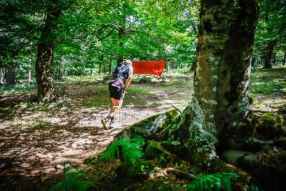 Los atletas cerraron este domingo el Mundial de Skyrunning de Soria con un recorrido de 37 kilómetros por algunos de los bosques más bellos de España.