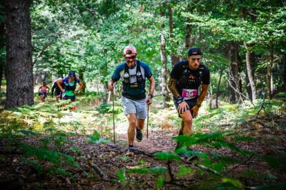 Los atletas cerraron este domingo el Mundial de Skyrunning de Soria con un recorrido de 37 kilómetros por algunos de los bosques más bellos de España.