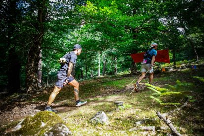 Los atletas cerraron este domingo el Mundial de Skyrunning de Soria con un recorrido de 37 kilómetros por algunos de los bosques más bellos de España.