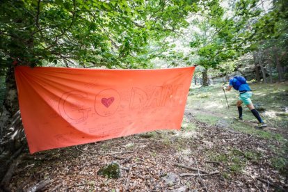 Los atletas cerraron este domingo el Mundial de Skyrunning de Soria con un recorrido de 37 kilómetros por algunos de los bosques más bellos de España.