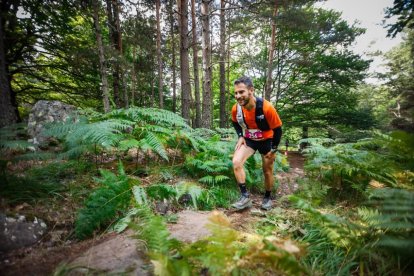 Los atletas cerraron este domingo el Mundial de Skyrunning de Soria con un recorrido de 37 kilómetros por algunos de los bosques más bellos de España.