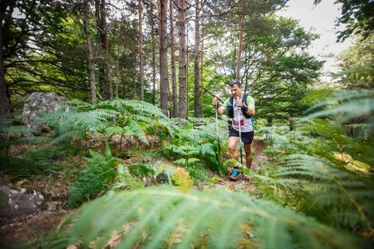 Los atletas cerraron este domingo el Mundial de Skyrunning de Soria con un recorrido de 37 kilómetros por algunos de los bosques más bellos de España.