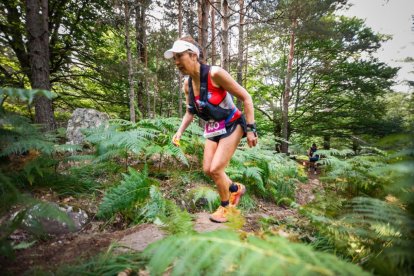 Los atletas cerraron este domingo el Mundial de Skyrunning de Soria con un recorrido de 37 kilómetros por algunos de los bosques más bellos de España.