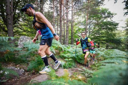 Los atletas cerraron este domingo el Mundial de Skyrunning de Soria con un recorrido de 37 kilómetros por algunos de los bosques más bellos de España.