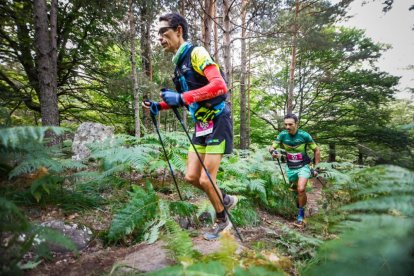 Los atletas cerraron este domingo el Mundial de Skyrunning de Soria con un recorrido de 37 kilómetros por algunos de los bosques más bellos de España.