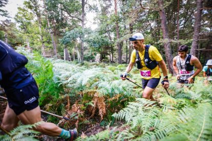 Los atletas cerraron este domingo el Mundial de Skyrunning de Soria con un recorrido de 37 kilómetros por algunos de los bosques más bellos de España.