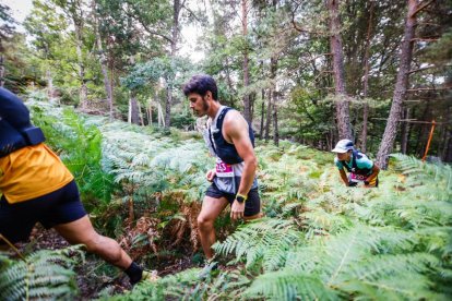 Los atletas cerraron este domingo el Mundial de Skyrunning de Soria con un recorrido de 37 kilómetros por algunos de los bosques más bellos de España.