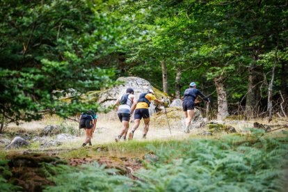 Los atletas cerraron este domingo el Mundial de Skyrunning de Soria con un recorrido de 37 kilómetros por algunos de los bosques más bellos de España.