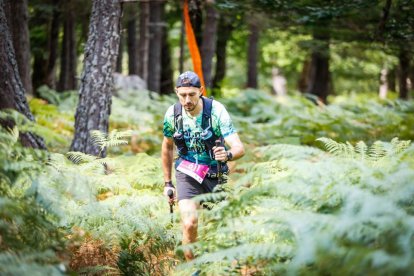 Los atletas cerraron este domingo el Mundial de Skyrunning de Soria con un recorrido de 37 kilómetros por algunos de los bosques más bellos de España.