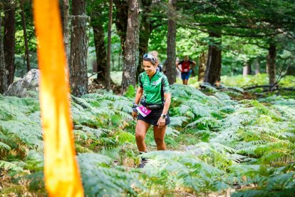 Los atletas cerraron este domingo el Mundial de Skyrunning de Soria con un recorrido de 37 kilómetros por algunos de los bosques más bellos de España.