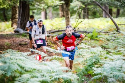 Los atletas cerraron este domingo el Mundial de Skyrunning de Soria con un recorrido de 37 kilómetros por algunos de los bosques más bellos de España.