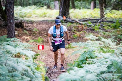 Los atletas cerraron este domingo el Mundial de Skyrunning de Soria con un recorrido de 37 kilómetros por algunos de los bosques más bellos de España.