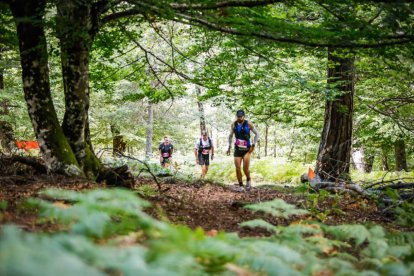 Los atletas cerraron este domingo el Mundial de Skyrunning de Soria con un recorrido de 37 kilómetros por algunos de los bosques más bellos de España.