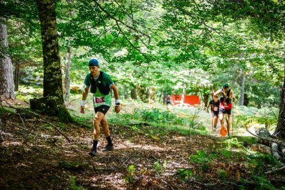 Los atletas cerraron este domingo el Mundial de Skyrunning de Soria con un recorrido de 37 kilómetros por algunos de los bosques más bellos de España.