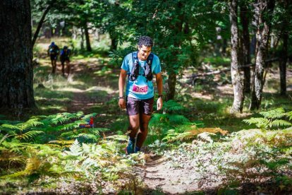 Los atletas cerraron este domingo el Mundial de Skyrunning de Soria con un recorrido de 37 kilómetros por algunos de los bosques más bellos de España.