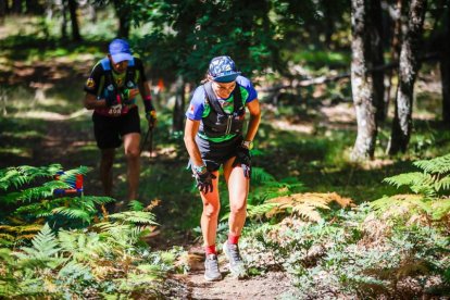 Los atletas cerraron este domingo el Mundial de Skyrunning de Soria con un recorrido de 37 kilómetros por algunos de los bosques más bellos de España.