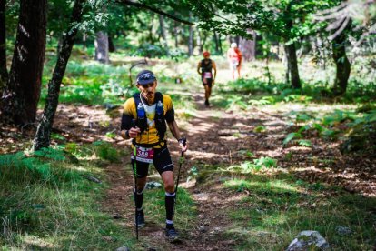 Los atletas cerraron este domingo el Mundial de Skyrunning de Soria con un recorrido de 37 kilómetros por algunos de los bosques más bellos de España.