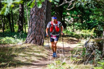 Los atletas cerraron este domingo el Mundial de Skyrunning de Soria con un recorrido de 37 kilómetros por algunos de los bosques más bellos de España.