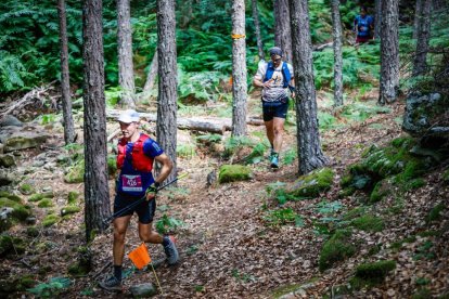 Los atletas cerraron este domingo el Mundial de Skyrunning de Soria con un recorrido de 37 kilómetros por algunos de los bosques más bellos de España.