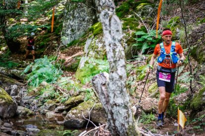 Los atletas cerraron este domingo el Mundial de Skyrunning de Soria con un recorrido de 37 kilómetros por algunos de los bosques más bellos de España.