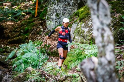 Los atletas cerraron este domingo el Mundial de Skyrunning de Soria con un recorrido de 37 kilómetros por algunos de los bosques más bellos de España.