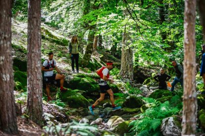 Los atletas cerraron este domingo el Mundial de Skyrunning de Soria con un recorrido de 37 kilómetros por algunos de los bosques más bellos de España.