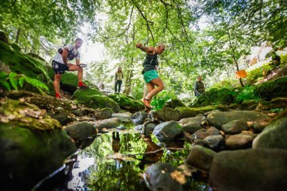 Los atletas cerraron este domingo el Mundial de Skyrunning de Soria con un recorrido de 37 kilómetros por algunos de los bosques más bellos de España.