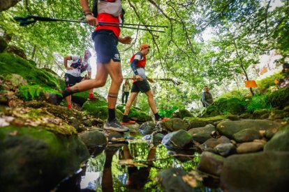 Los atletas cerraron este domingo el Mundial de Skyrunning de Soria con un recorrido de 37 kilómetros por algunos de los bosques más bellos de España.