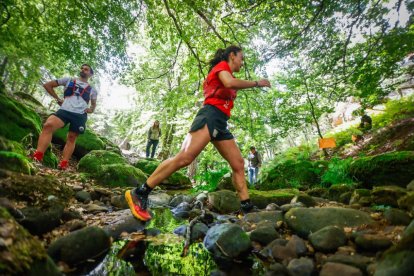 Los atletas cerraron este domingo el Mundial de Skyrunning de Soria con un recorrido de 37 kilómetros por algunos de los bosques más bellos de España.