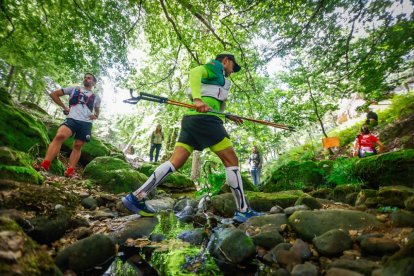 Los atletas cerraron este domingo el Mundial de Skyrunning de Soria con un recorrido de 37 kilómetros por algunos de los bosques más bellos de España.