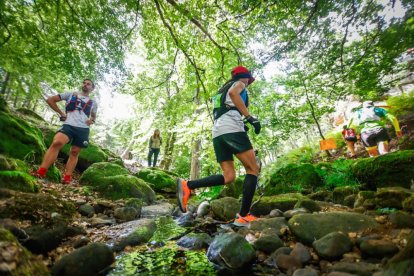 Los atletas cerraron este domingo el Mundial de Skyrunning de Soria con un recorrido de 37 kilómetros por algunos de los bosques más bellos de España.