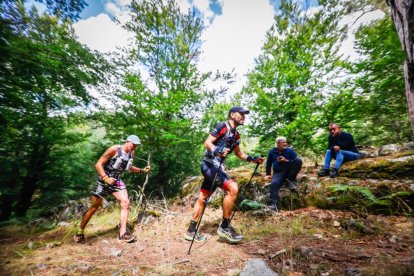 Los atletas cerraron este domingo el Mundial de Skyrunning de Soria con un recorrido de 37 kilómetros por algunos de los bosques más bellos de España.