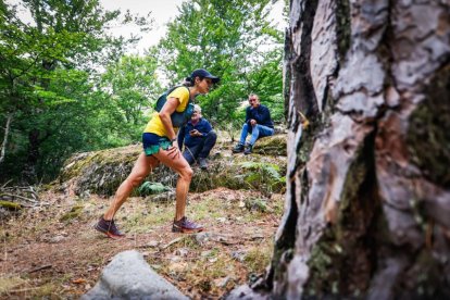 Los atletas cerraron este domingo el Mundial de Skyrunning de Soria con un recorrido de 37 kilómetros por algunos de los bosques más bellos de España.