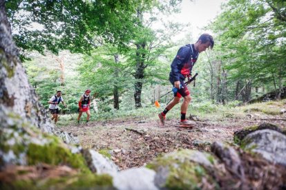 Los atletas cerraron este domingo el Mundial de Skyrunning de Soria con un recorrido de 37 kilómetros por algunos de los bosques más bellos de España.