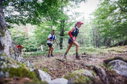 Los atletas cerraron este domingo el Mundial de Skyrunning de Soria con un recorrido de 37 kilómetros por algunos de los bosques más bellos de España.